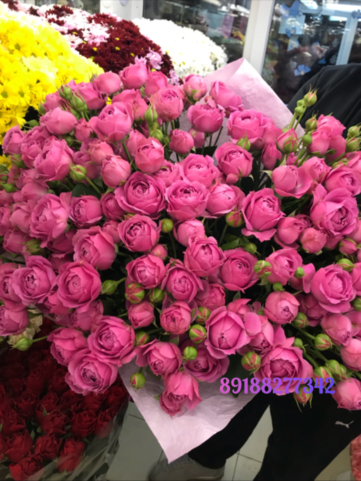 Пионовидный рай